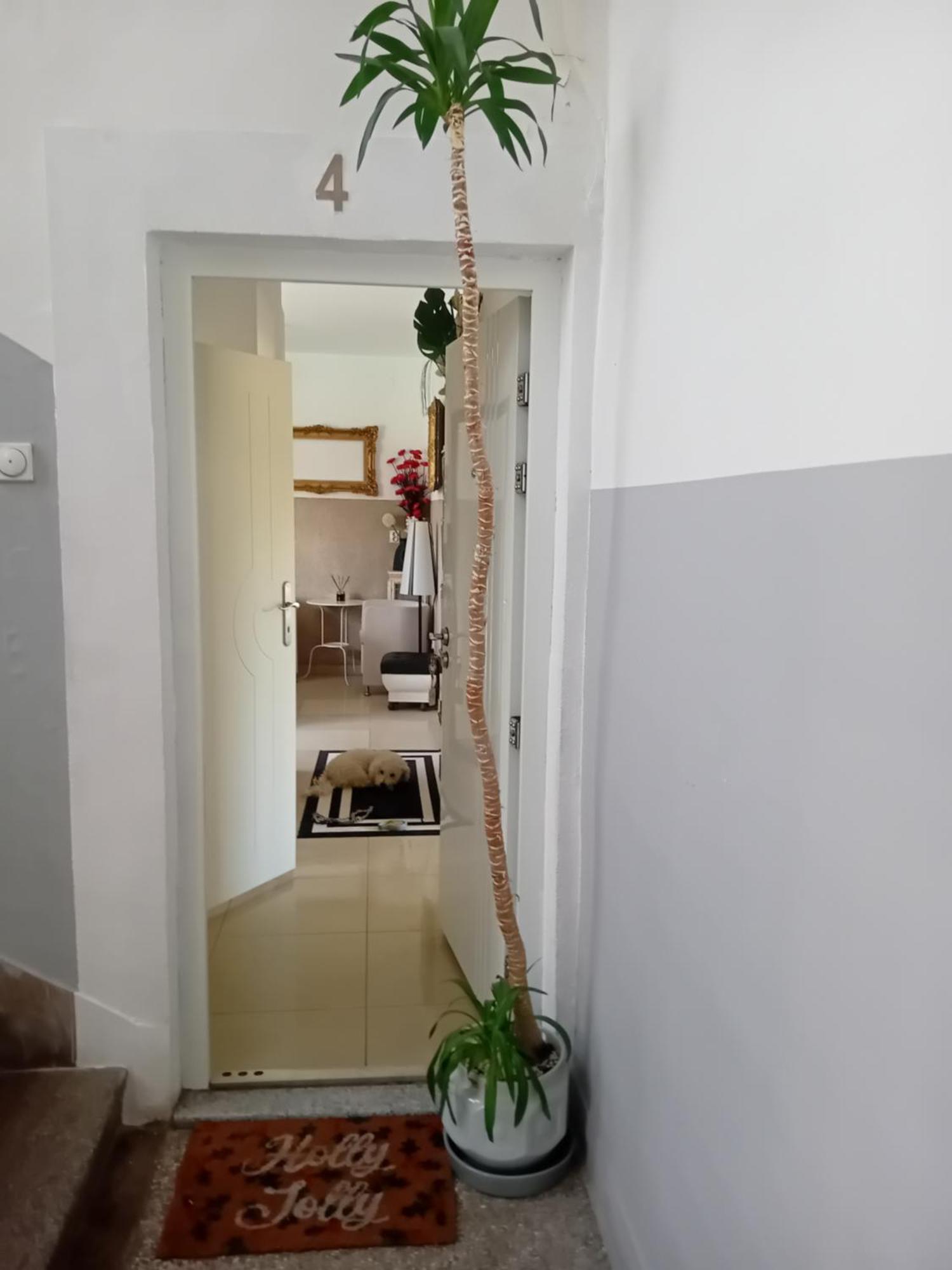 Apartment Top Centar Banja Luka Exterior foto